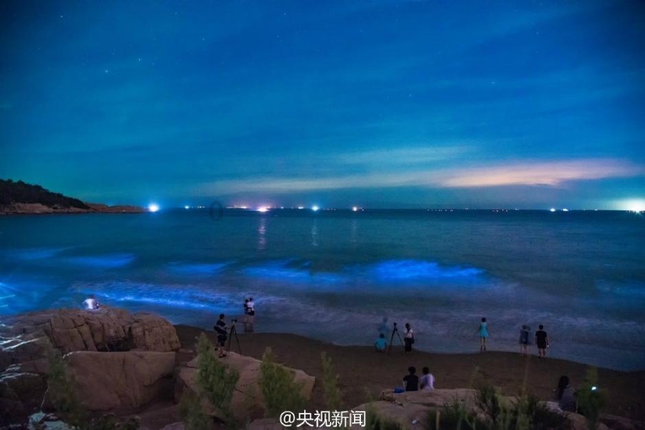 逃离龙的圣地