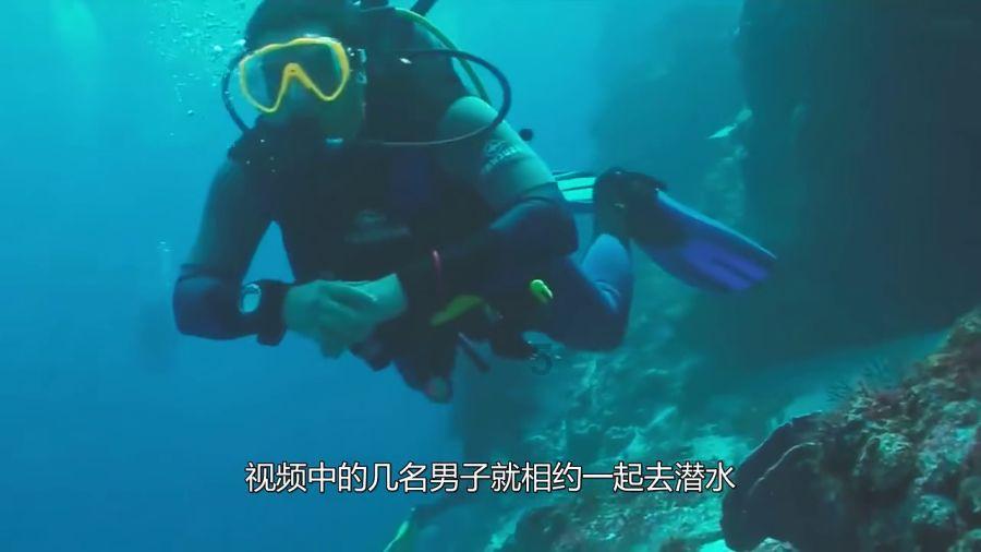 海南举全省之力决战封关运作“一号工程”