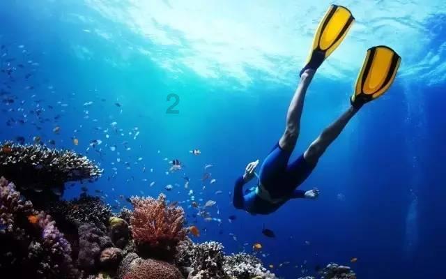 女人结婚后管钱真的能提高安全感吗？游戏画面