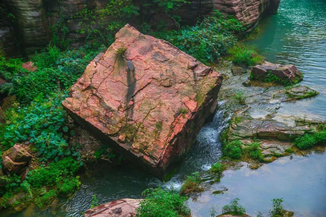 在早上洗头好，还是晚上好？游戏画面