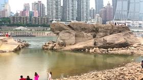 昭通市政协委员：关注特色产业和绿色能源发展