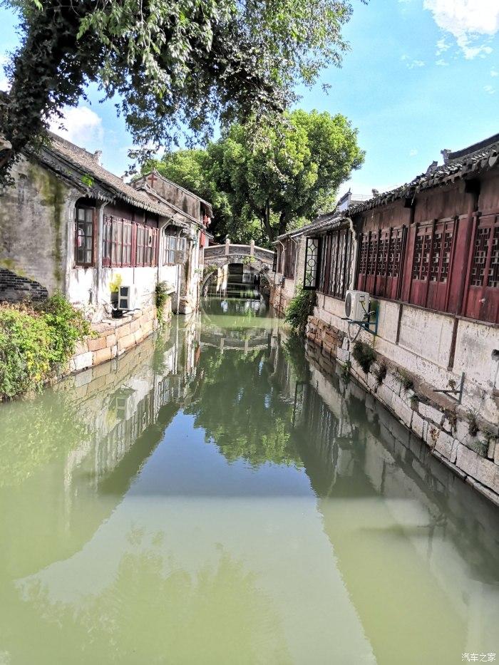逃离橡子树种植地